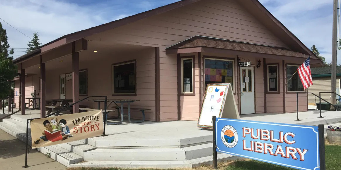 A Photograph of the exterior of the Elgin Public Library.