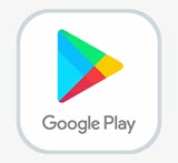 Google Play Store Icon